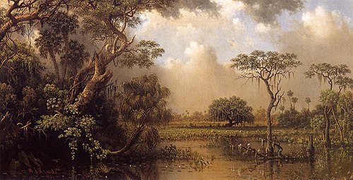 Le Grand Marais de Floride, 1886, Martin Johnson Heade
