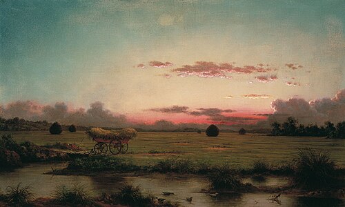 Les Marais de Rhode Island, 1866, Martin Johnson Heade