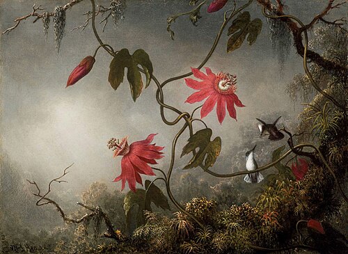 Passion Flowers and Hummingbirds, 1870, Martin Johnson Heade