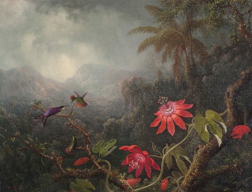 Fleurs de la passion et Trois Colibris, 1875, Martin Johnson Heade