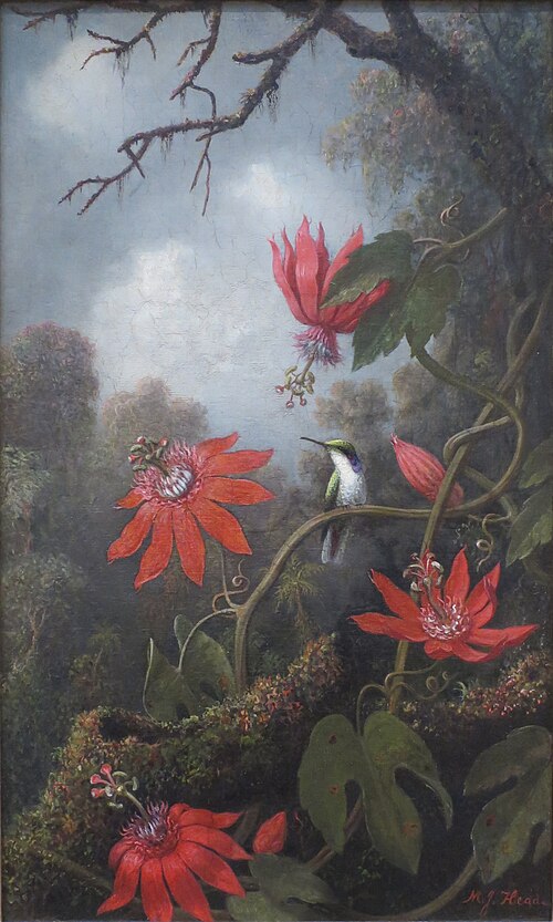 Hummingbird and Passionflowers, 1875, Martin Johnson Heade