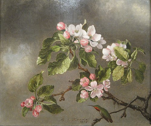Hummingbird and Apple Blossoms, 1875, Martin Johnson Heade