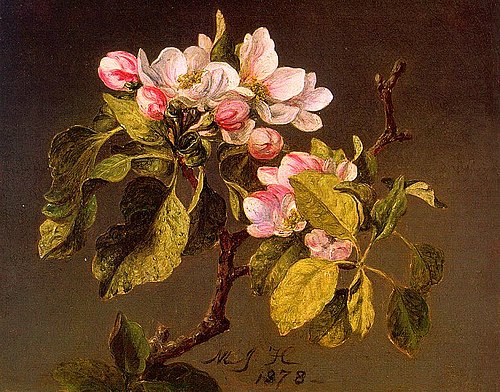 Apple Blossoms, 1878, Martin Johnson Heade