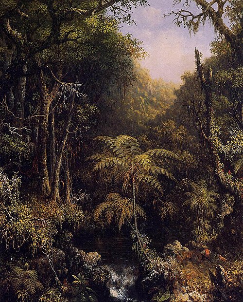 Brazilian Forest, 1864, Martin Johnson Heade