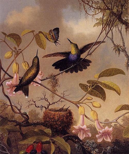 Fork-Tailed Woodnymph, 1850, Martin Johnson Heade