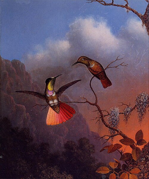 Hooded Visorbearer, 1850, Martin Johnson Heade