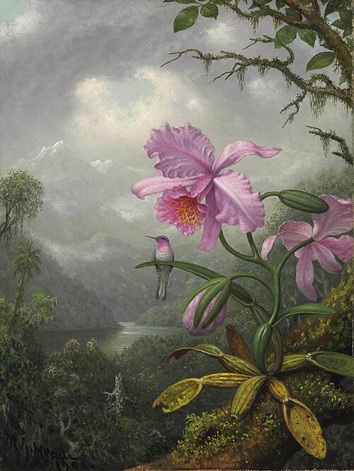 Hummingbird Perched on the Orchid Plant, 1901, Martin Johnson Heade