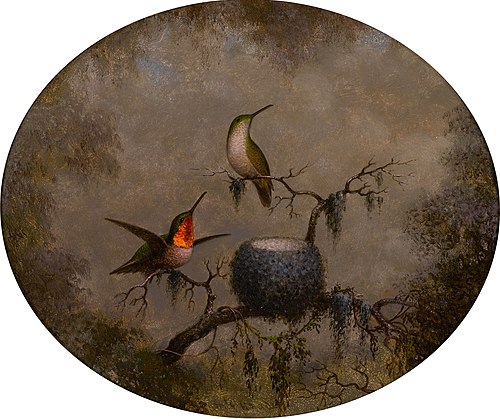 Hummingbirds and Their Nest, 1863, Martin Johnson Heade
