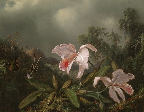 Jungle Orchids and Hummingbirds, 1872, Martin Johnson Heade