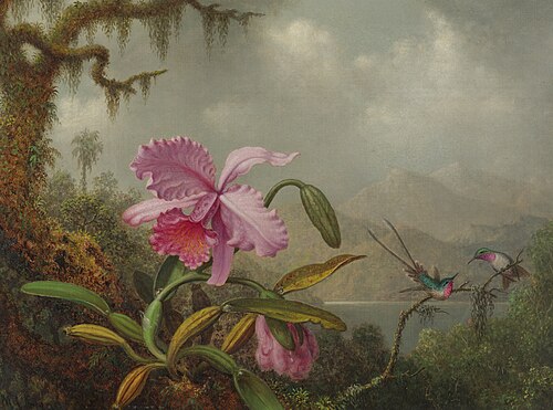 Orchids and Hummingbirds, 1875, Martin Johnson Heade