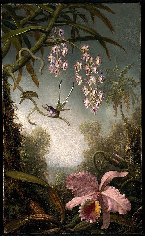 Orchids and Spray Orchids with Hummingbird, 1875, Martin Johnson Heade