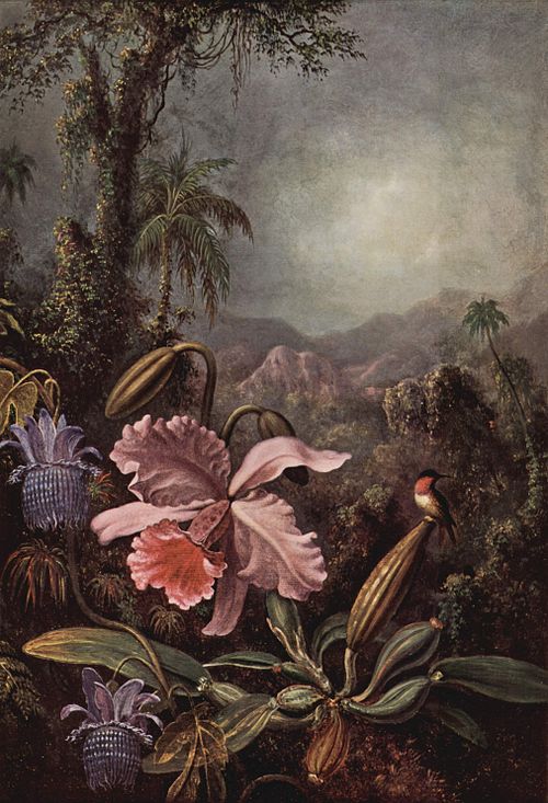 Orchids, Passion Flowers and Colibris, 1880, Martin Johnson Heade