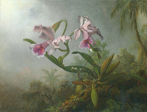 Pink Orchids and Hummingbird on a twig, 1850, Martin Johnson Heade