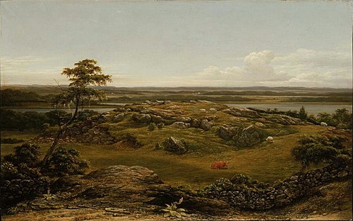 Rocks in New England, 1855, Martin Johnson Heade