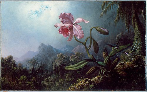 Two Hummingbirds with an Orchid, 1875, Martin Johnson Heade