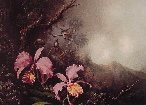 Two Orchids in a Mountain Landscape, 1870, Martin Johnson Heade