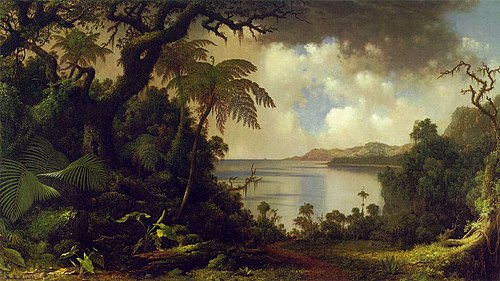 View from Fern Tree Walk, Jamaica, 1870, Martin Johnson Heade