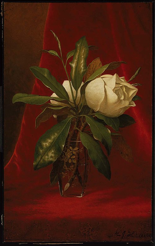 Magnolias, 1891, Martin Johnson Heade