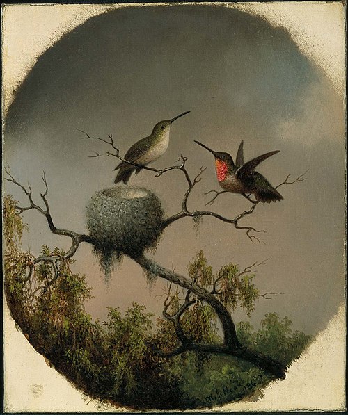 Hummingbirds with Nest, 1863, Martin Johnson Heade