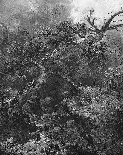 Woodland Sketch, 1863, Martin Johnson Heade