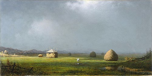 A Cloudy Day, 1874, Martin Johnson Heade