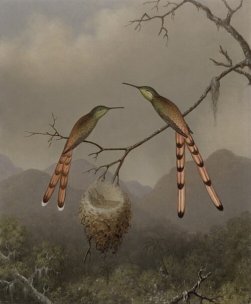 Two Hummingbirds with Their Young, 1865, Martin Johnson Heade