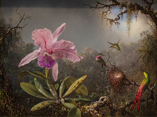 Cattleya Orchid and Three Hummingbirds, 1871, Martin Johnson Heade