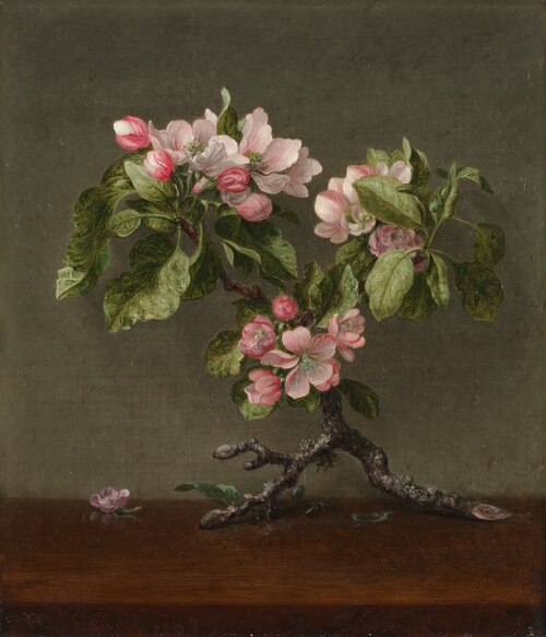 Apple Blossoms, 1873, Martin Johnson Heade
