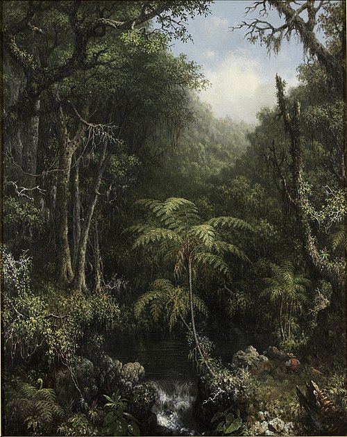 Brazilian Forest, 1864, Martin Johnson Heade