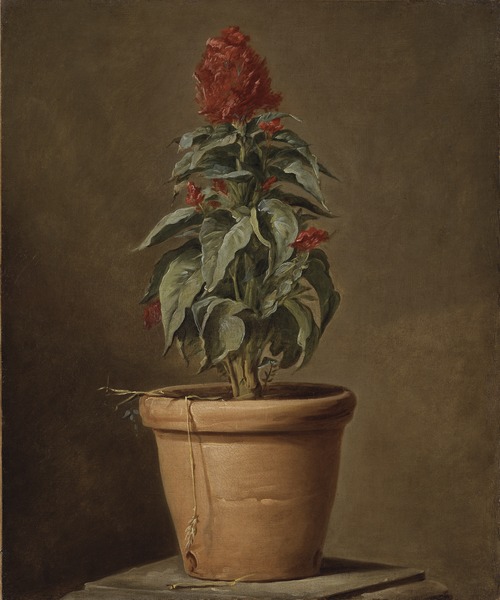 A Potted Plant, , Henri-Horace Roland Delaporte
