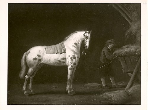 a white horse in a stable, 1645, Aelbert Cuyp