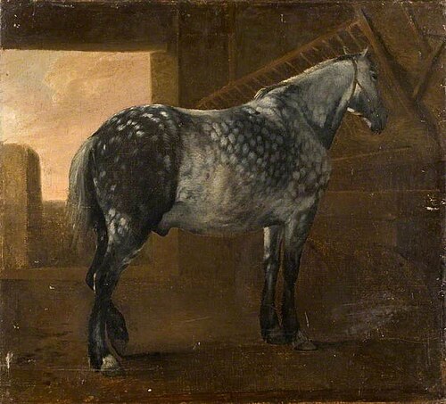 A Dapple Grey Horse, , Aelbert Cuyp