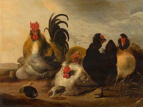 Cock and Hens in a Landscape, 1651, Aelbert Cuyp