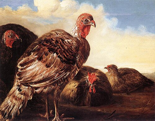 Domestic Fowl, 1700, Aelbert Cuyp