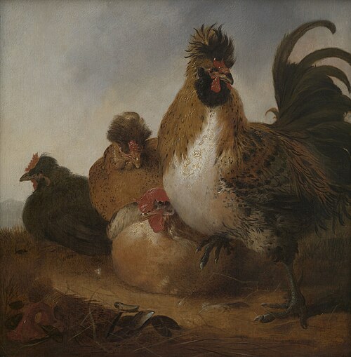 Rooster and Hens, 1650, Aelbert Cuyp