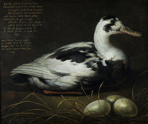 Portrait of the Sitting Duck 'Sijctghen', 1647, Aelbert Cuyp