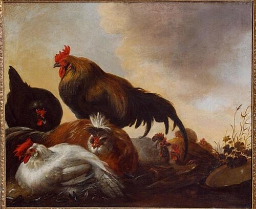 Poultry in a field, 1650, Aelbert Cuyp