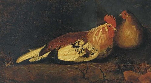 A Rooster and a Hen, 1667, Aelbert Cuyp