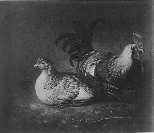 Hahn und Henne (?), 1655, Aelbert Cuyp