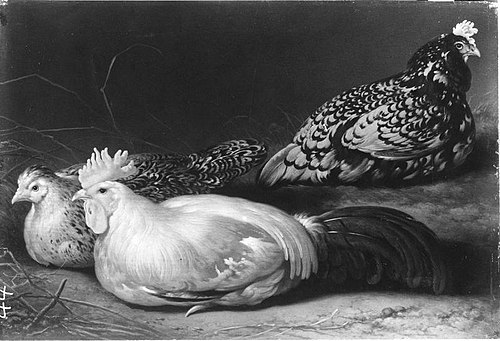 A Cock and Two Hens, 1650, Aelbert Cuyp