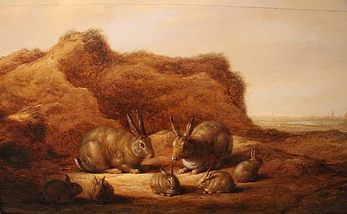 Paysage, 1650, Albert Cuyp