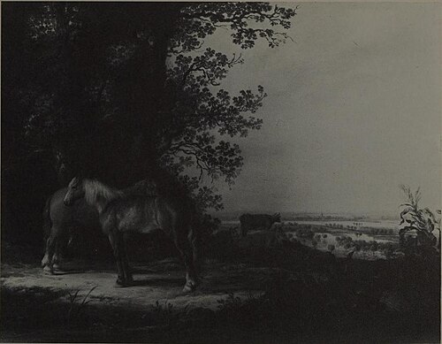 Two Horses on a Ridge, 1645, Aelbert Cuyp