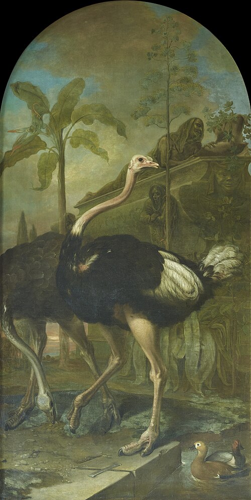 A Pair of Ostriches, a Sarcophagus in the Background, 1723, Ignaz Heinitz von Heinzenthal