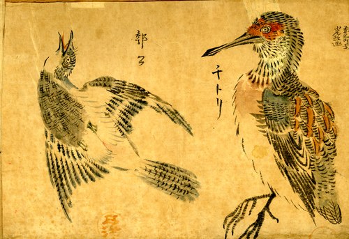 Wakakusa, Album of bird studies, , Ikeda Mitsumasa