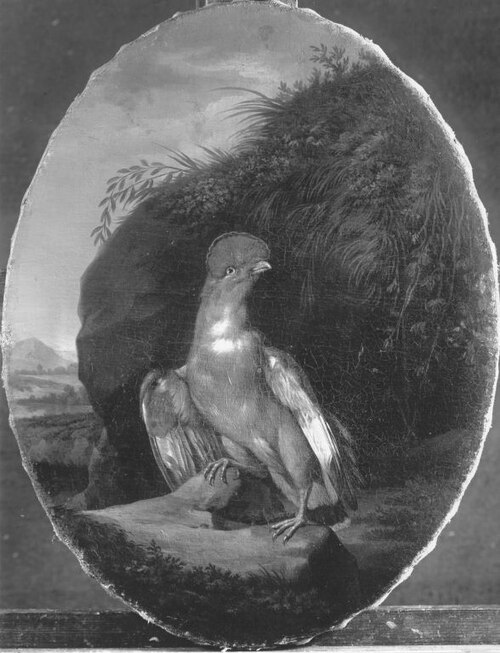 Roter Berghahn, 1776, Johann Christian von Mannlich