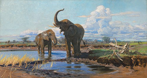 Elephants at a waterhole, , Wilhelm Kuhnert