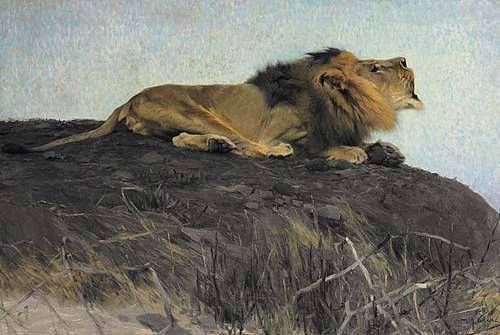 Brüllender Löwe, , Wilhelm Kuhnert