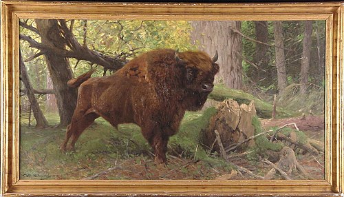 Wisentstier in het woud van Bialowieza, Polen, 1912, Wilhelm Kuhnert