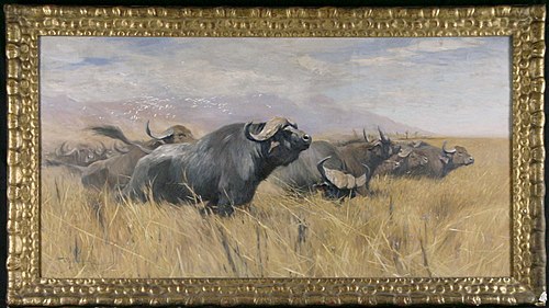 Kudde opgejaagde Afrikaanse buffels en koereigers, 1921, Wilhelm Kuhnert