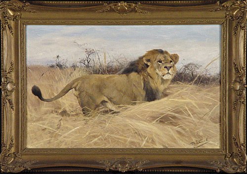 Leeuw, 1903, Wilhelm Kuhnert